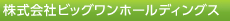 株式会社ビッグワンホールディングス